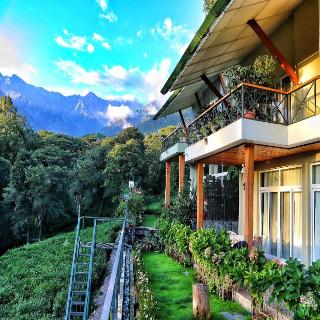 Lamrin Norwood Green Palampur