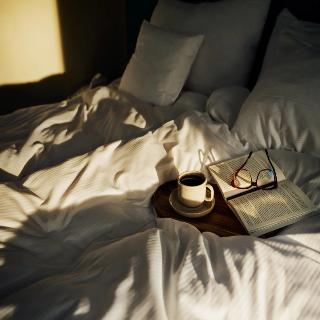 Home Hotel Baltzar