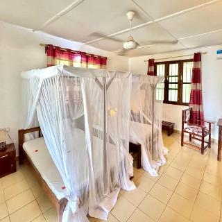 Room Room