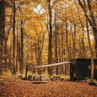 Postcard Cabins Machimoodus Outdoor Collection