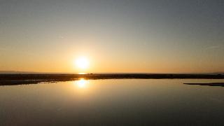 Flamingo View Suites & Villas