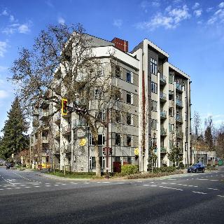 Solo Suites