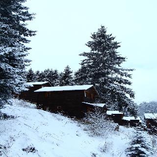 Hamsikã¶y Zitaåÿ Bungalov & Restoran