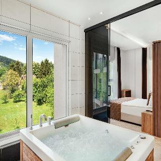 Mã¶venpick Resort And Spa Fruske Terme