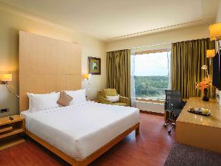 Room Room