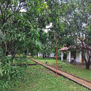 Dambulla Hills Resort