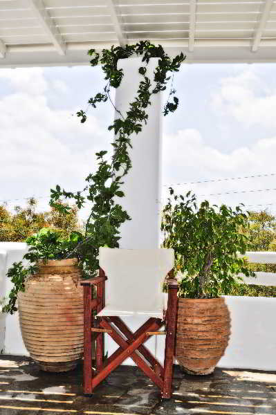 General view
 di Aloni 