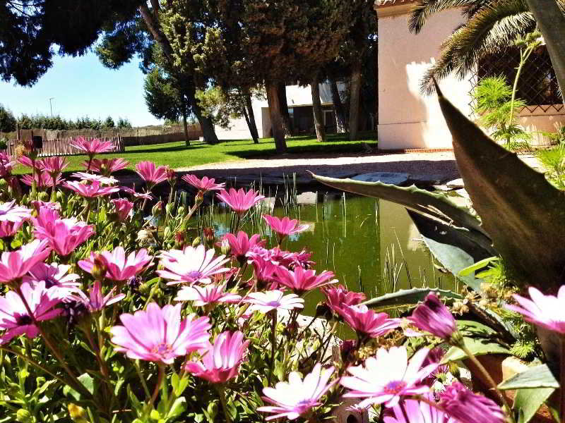 Terrace
 di Spa la Salve