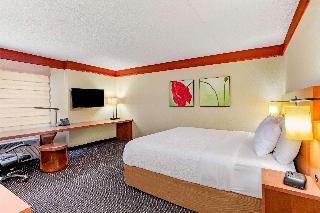 Room Room