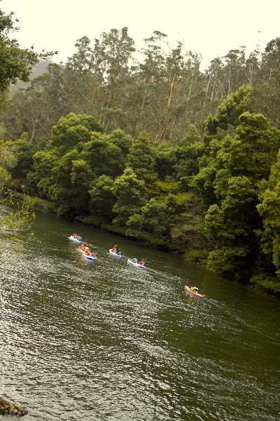 Sports and Entertainment
 di Naturaleza Pesqueria del Tambre