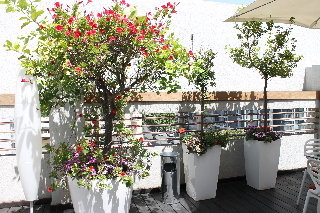 Terrace
 di Art Plus an Atlas Boutique Hotel