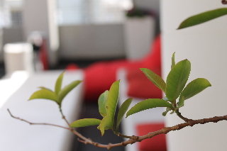 Terrace
 di Art Plus an Atlas Boutique Hotel