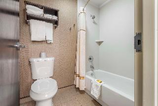2 Queen Beds Non-Smoking First Floor Indoor Poolside Microwave Fridge Wi-Fi Full Breakfast
