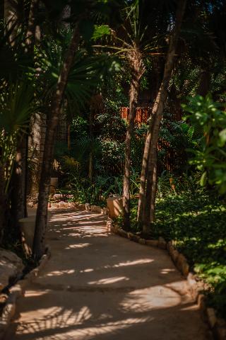 Viceroy Riviera Maya