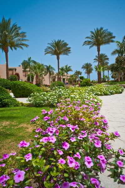 General view
 di Ali Baba Palace