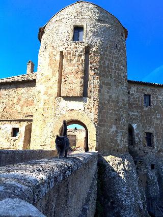 Della Fortezza