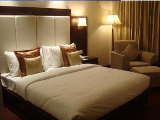 Room
 di Park Plaza Jodhpur