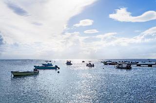 Sports and Entertainment
 di W Retreat & Spa - Vieques Island