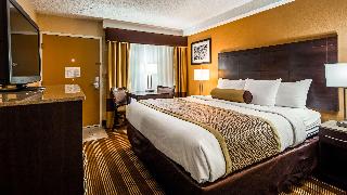 1 King Bed Non-Smoking Pet Friendly Room Microwave And Refrigerator Wi-Fi Full Breakfast