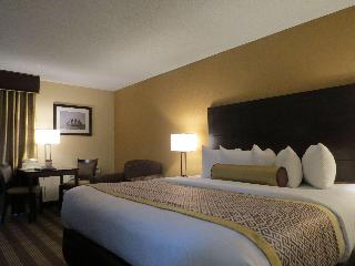 1 King Bed Non-Smoking Pet Friendly Room Microwave And Refrigerator Wi-Fi Full Breakfast