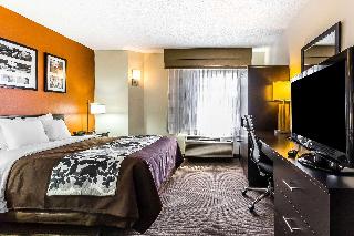 1 Queen Bed Nonsmoking Accessible