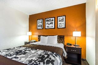 1 Queen Bed Nonsmoking Accessible