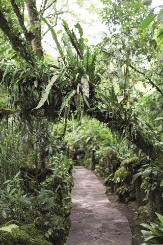 General view
 di Belmond Sanctuary Lodge Machu Picchu 
