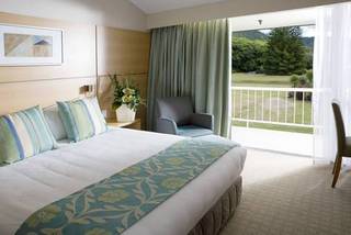 Room
 di Wairakei Resort Taupo