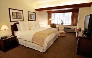 Room
 di Thunderbird Hotels Pardo