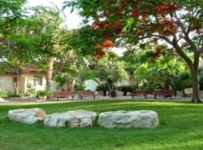 General view
 di Kibbutz Almog