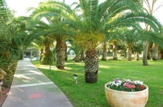 General view
 di Kibbutz Shefayim