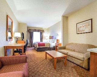 凱富套房酒店 - 拉斯維加斯內利斯 Comfort Inn & Suites Las Vegas - Nellis