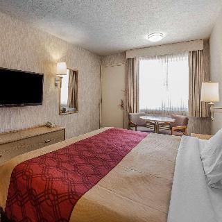 Room Room