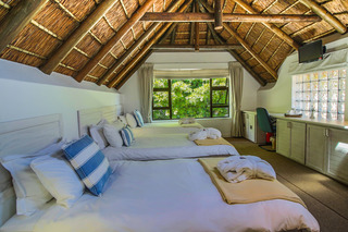 Room Room