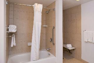 1 Kng 1 Bdrm Ste Mobility Access W/Ri Shwr