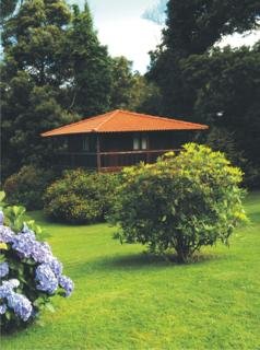 General view
 di Quinta Das Eiras