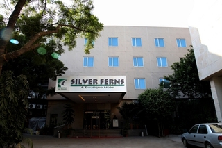 Silver Ferns - Generell
