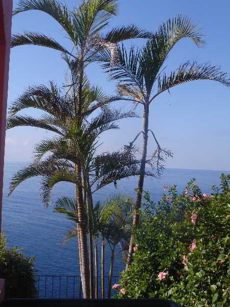 General view
 di Inn & Art Hotel Gallery