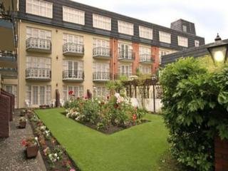 General view
 di All Seasons Christchurch