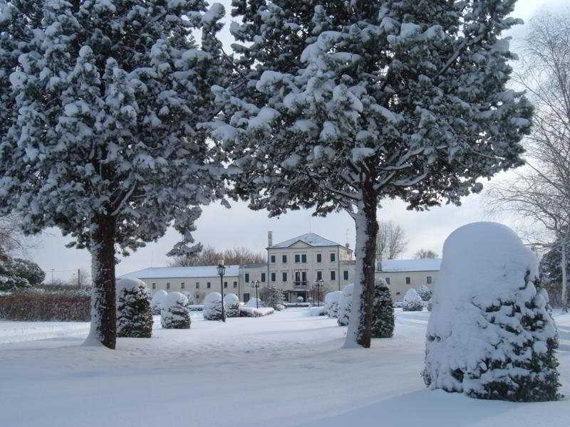 General view
 di Villa Braida