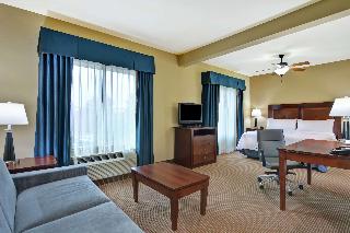 1 King Bed Studio Suite Nonsmoking