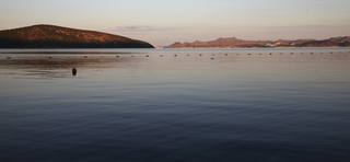 Bodrum Holiday Resort and Spa