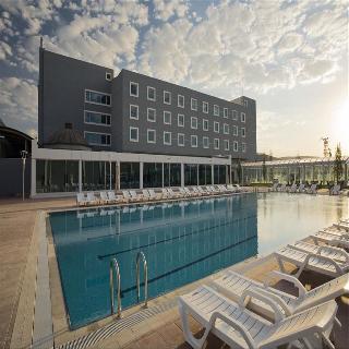 Anemon Afyon