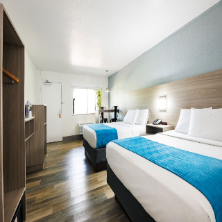 Room Room