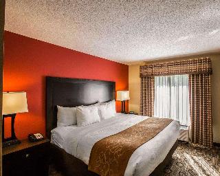 Room Room