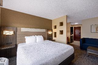 1 King Bed Standard Lake View