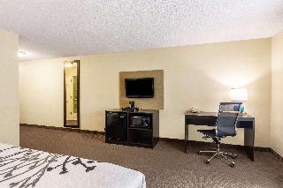 1 King Bed, Nonsmoking, Accessible