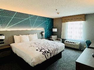 1 King Bed, Nonsmoking