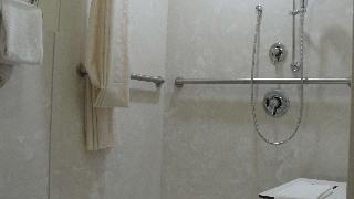1 Queen Mobility Accessible Rollin Shower Desk Microwave Fridge WiFi NonSmoking ContinentalBreakfas