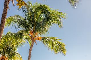 Cocotiers Hotel - Mauritius